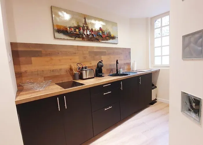 Nid Du Puits : Centre Appartement *